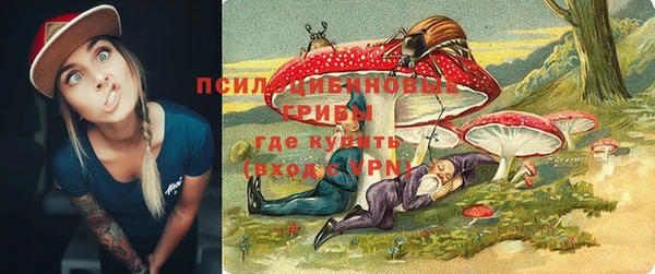 прущая мука Михайлов