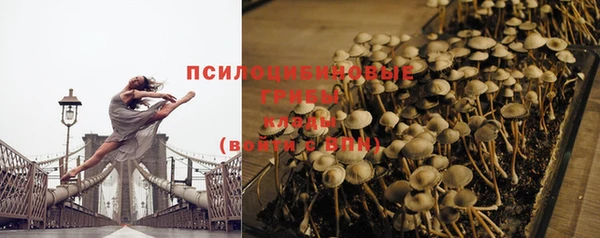 прущая мука Михайлов