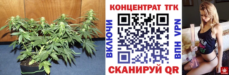 Дистиллят ТГК гашишное масло  Берёзовка 